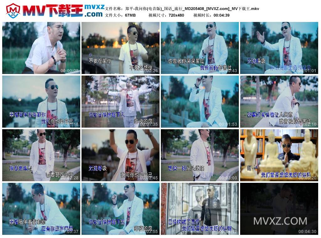 郑平-我问你(电音版)_国语_流行_MD205408